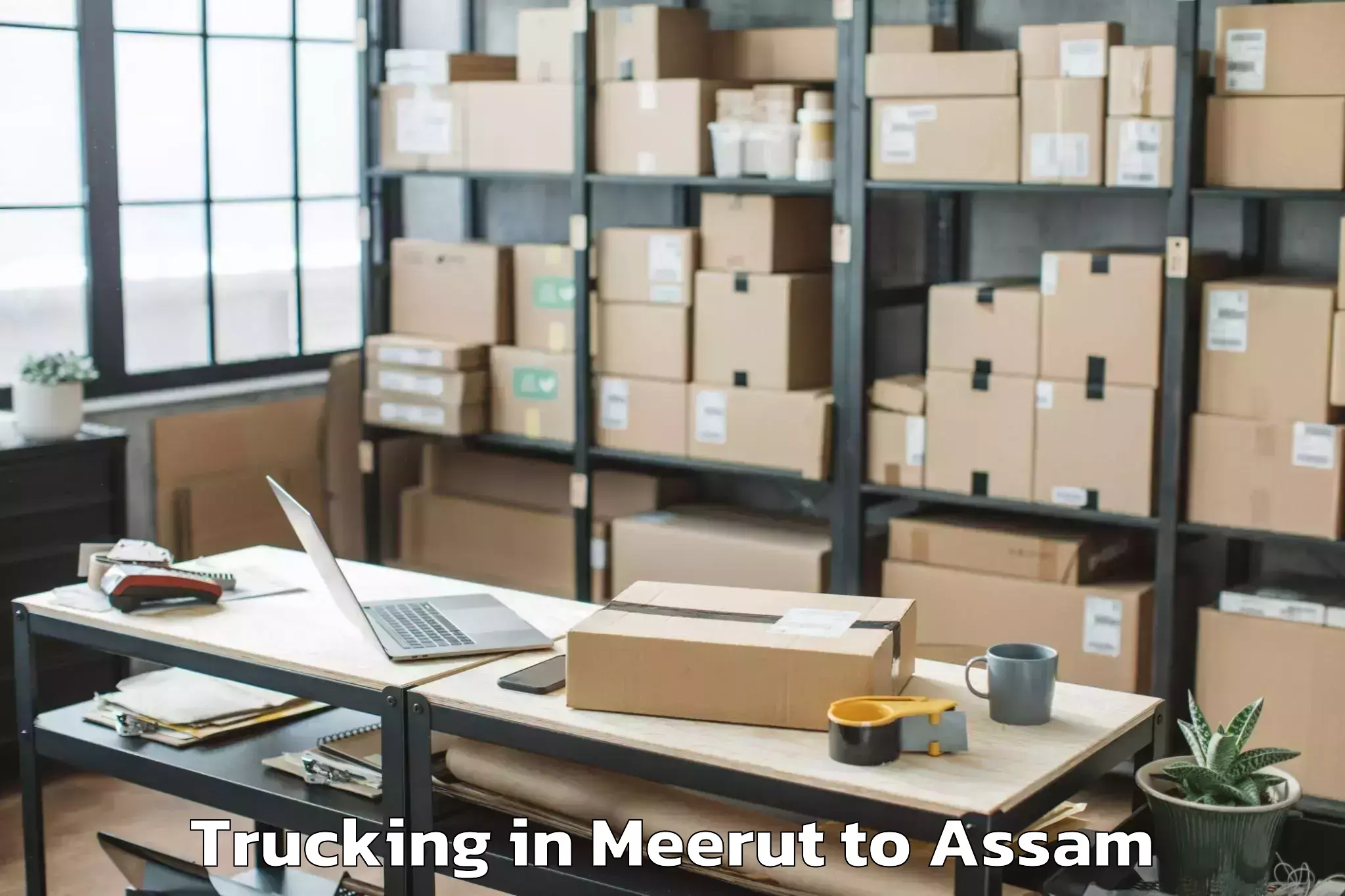 Meerut to Bijni Pt Trucking Booking